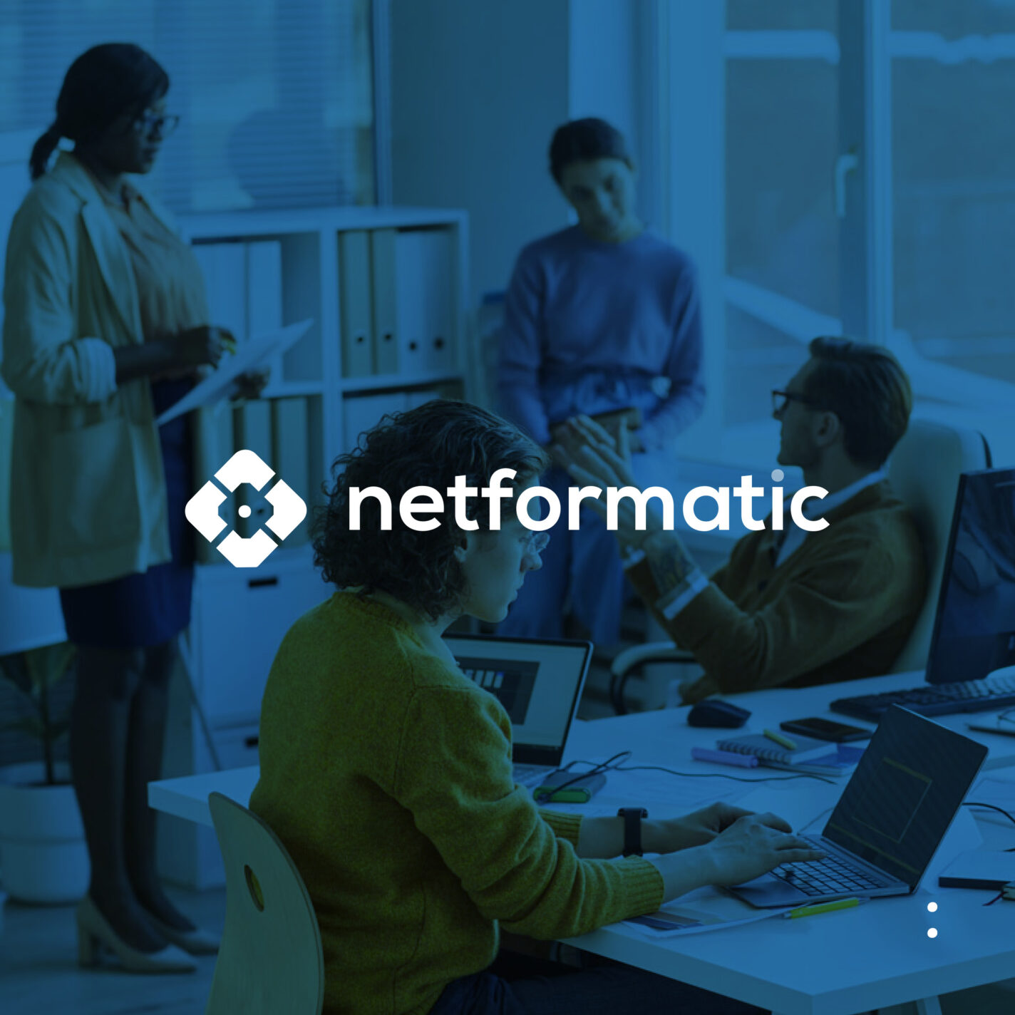 Logotype Netformatic